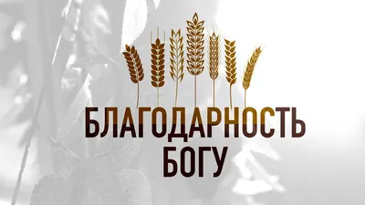 Катология - ❗Выражать благодарность Богу - значит видеть Его руку во всем.  Это умение принимать все, что с нами происходит - хорошее и плохое, а также  находить в этом ценные уроки, которые