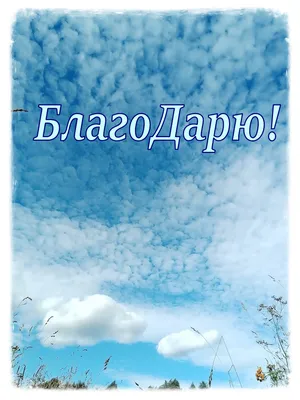 Моя благодарность Богу. | Творчество для души | Дзен