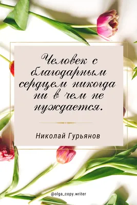 Цитаты о благодарности | Цитаты о благодарности, Дневники благодарности,  Цитаты о цветах