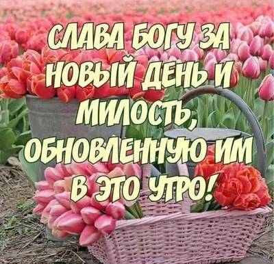 ВАЛЯ on X: \"@Olga_Zah Оля, 🖐️ Доброго утра ! Благословенного дня ! Пусть  сегодня свершится что-то то радостное и волшебное ! 🙏💝💞 🌹💋🤗  https://t.co/QeAamLNYC8\" / X