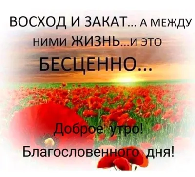 ДОБРОЕ УТРО!!!☀️БЛАГОСЛОВЕННОГО ДНЯ!!🕊️ Христианское пожелание - YouTube