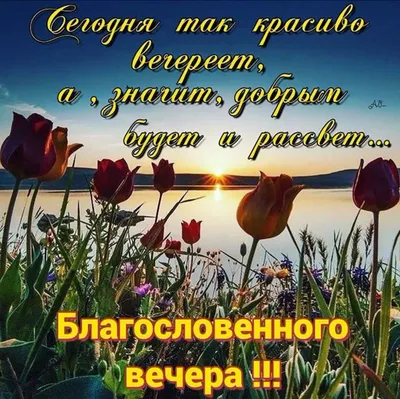 БЛАГОСЛОВЕННОГО ВЕЧЕРА. ХРАНИ ВО ВСЕ ДНИ ВАС, ГОСПОДЬ! | ☦️ Священник  Антоний Русакевич ✓ | Дзен