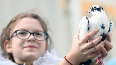 Рукописная икона Благовещение Пресвятой Богородицы — Купить икону или  выполнить образ на заказ | © ApostolosAndreas