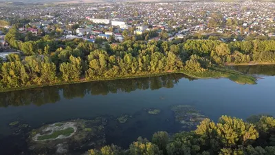 В новогоднее убранство наряжают Благовещенские улицы (ФОТО) -  PriamurMedia.ru