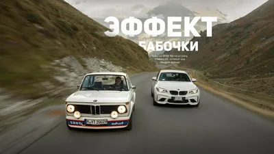 Компания BMW решила возобновить поставки всех моделей в Россию - Новости  Петербурга - Общественный Контроль