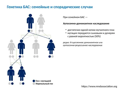 Что вы от нас хотите? Вы понимаете, что исход один» Как в России живут  пациенты с редкой и неизлечимой болезнью: Общество: Россия: Lenta.ru