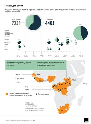 Лихорадка Эбола: симптомы и меры профилактики - Инфографика ТАСС