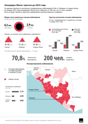 Ebolavirus — Википедия