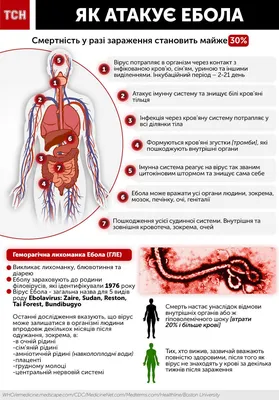 ВОЗ объявила эпидемию лихорадки Эбола международной опасностью