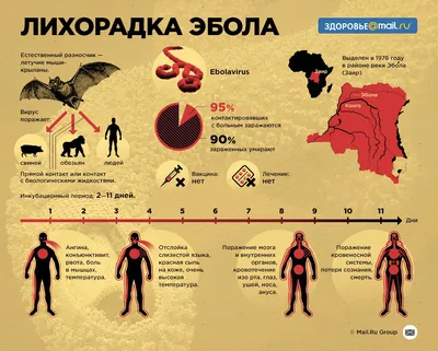 Болезнь Вируса Эбола — стоковая векторная графика и другие изображения на  тему Вирус Эбола - Вирус Эбола, Гвинея, Иллюстрация - iStock