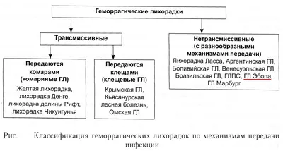 Информация в связи с распространением вируса Эбола