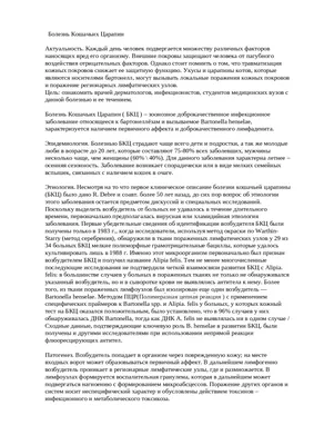 Опасности кошачьих укусов и царапин, что делать, если укусила, поцарапала  кошка