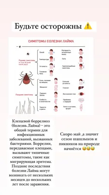 Болезнь Лайма (боррелиоз Лайма): симптомы с фото, последствия, диагностика  и лечение в Москве