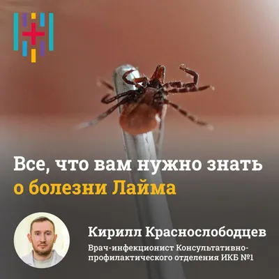 Почему нет вакцины от болезни Лайма | Пикабу