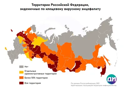 вирус энцефалита или болезнь лайма боррелиоз или обезьяна лихорадка  инфекционный дермацентор клещ арахнид насекомое паразита на зе Стоковое  Фото - изображение насчитывающей лайм, заразно: 217052098