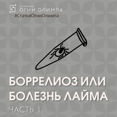 Сеть клиник МедЭксперт - Весна радует солнышком не только нас с вами. С  потеплением стартовал сезон активности клещей. Сам по себе укус -  безопасен, последствия подстерегают, если членистоногое переносило  возбудителей опасных заболеваний.