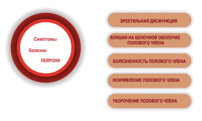 Оперативное лечение болезни Пейрони. Часть 1. Возможности человеческого  тела – тема научной статьи по клинической медицине читайте бесплатно текст  научно-исследовательской работы в электронной библиотеке КиберЛенинка