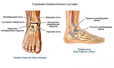 ХРОНИЧЕСКАЯ НЕСТАБИЛЬНОСТЬ ГОЛЕНОСТОПНОГО СУСТАВА - Op. Dr. Tolga Mertoğlu