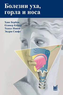 Книга Болезни уха, горла, носа в детском возрасте: национальное  руководство. 2-е... - купить здравоохранения, медицины в  интернет-магазинах, цены на Мегамаркет | 9890050