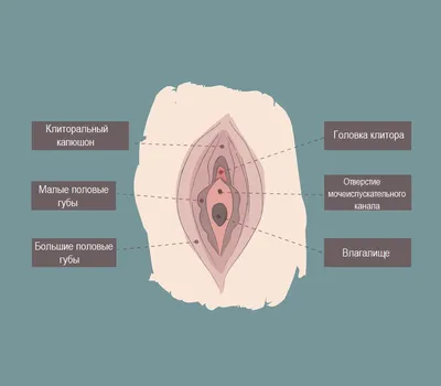 Контурная пластика губ - ЦИДК