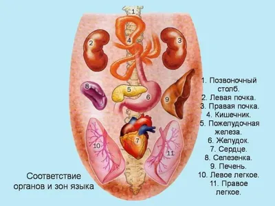 Глоссит — воспаление языка Причины, Лечение, Профилактика