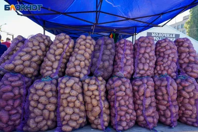 https://direct.farm/knowledge/plant/potato_disease_mycota