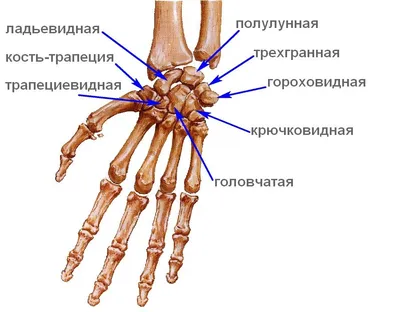 Теносиновит де Кервена - KinesioPro