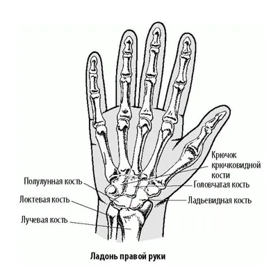 Покалывание и боль в руках - Medicīnas centrs ARS