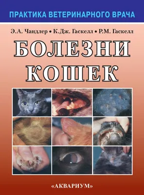 Книга Болезни кошек - купить книги о животных в интернет-магазинах, цены на  Мегамаркет | 978-5-4238-0156-4