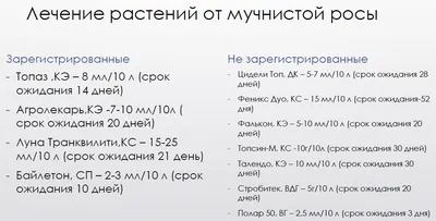 Как обезопасить малину от опасных болезней – Своё Фермерство