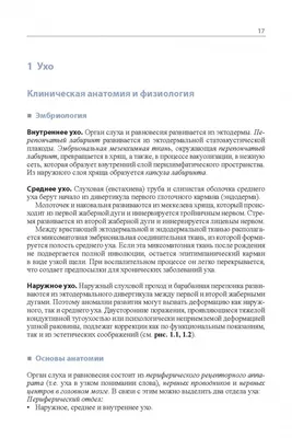 Книга: Хирургические болезни носа, придаточных пазух и носоглотки  Руководство для врачей Купить за 3610.00 руб.