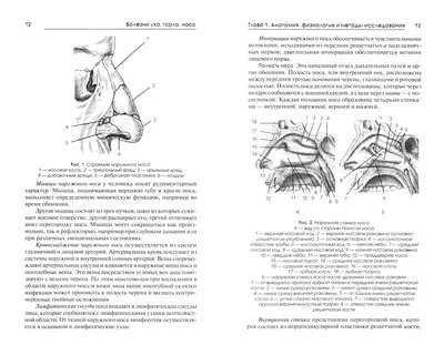 Болезни носа, глотки, гортани и уха, , Медицина купить книгу 5-225-04764-5  – Лавка Бабуин, Киев, Украина