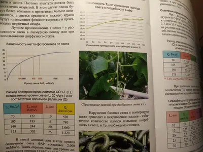 Ответ на пост «Есть вопросы» | Пикабу