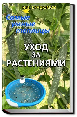 Болезни огурцов в теплице и в открытом грунте