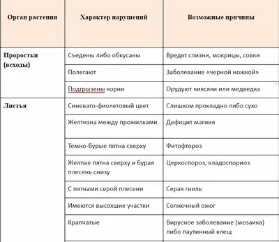 Самые частые болезни томатов: фото, описания, меры борьбы