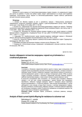 Смородина: какую выбрать и почему она так полезна - Здоровье