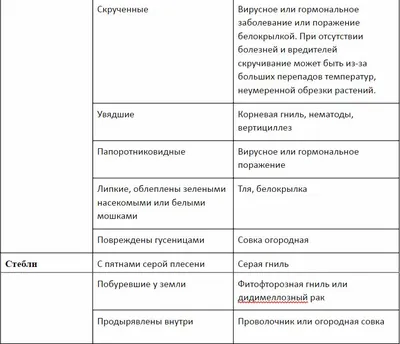 Неинфекционные заболевания томатов. Симптомы недостатка витаминов и  минералов