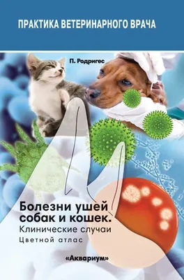 на ветеранах. ухо красного кота осматривается ветеринаром Стоковое  Изображение - изображение насчитывающей медицинско, болезнь: 229922825