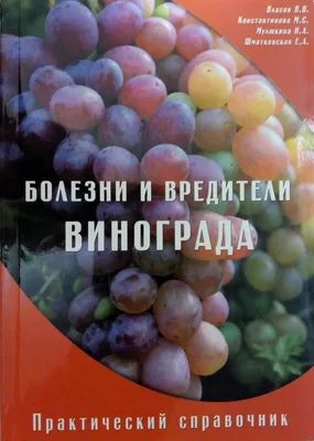 Болезни и вредители винограда Лечение Описание Фото+ВИДЕО | ВИНОГРАДНИК.by