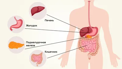 Болит живот слева: причины болей у женщин и мужчин