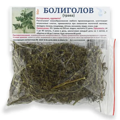 Болиголов пятнистый (Conium maculatum)