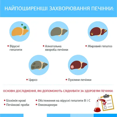 Гепатит С – все о заболевании простыми словами