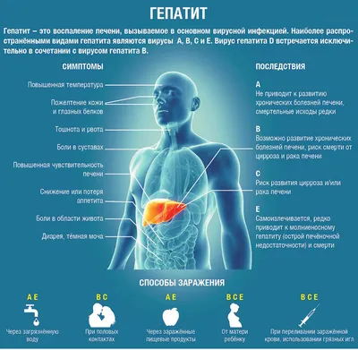 Методические рекомендации по профилактике вирусного гепатита С