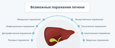 Цирроз печени: симптомы, признаки, методы лечения и препараты