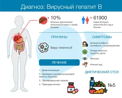 Голодание полезно для печени. Но не всегда | 08.04.2022, ИноСМИ