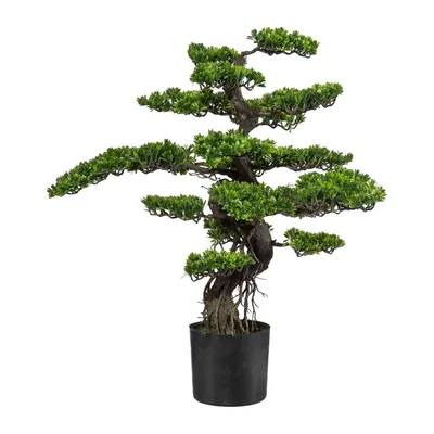 Bonsai Zierapfel Malus halliana 50 cm 12 Jahre bei OYAKI Bonsai kaufen