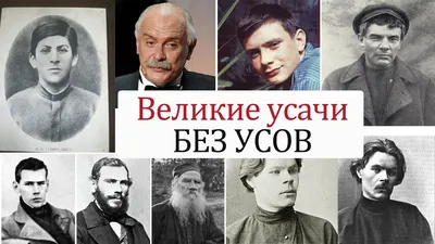 Русский мужчина без бороды - катастрофа современности. | Свободная Воля |  Дзен