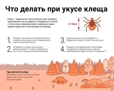 Особенности течения болезни Лайма у детей – тема научной статьи по  клинической медицине читайте бесплатно текст научно-исследовательской  работы в электронной библиотеке КиберЛенинка