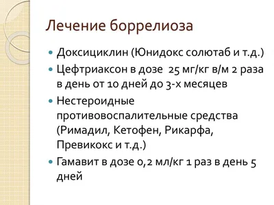 Клещевой боррелиоз: болезнь на всю жизнь?