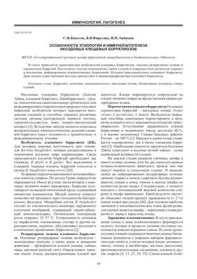 Как защитить себя от клещевого боррелиоза? | Газета Лев-Толстовского района